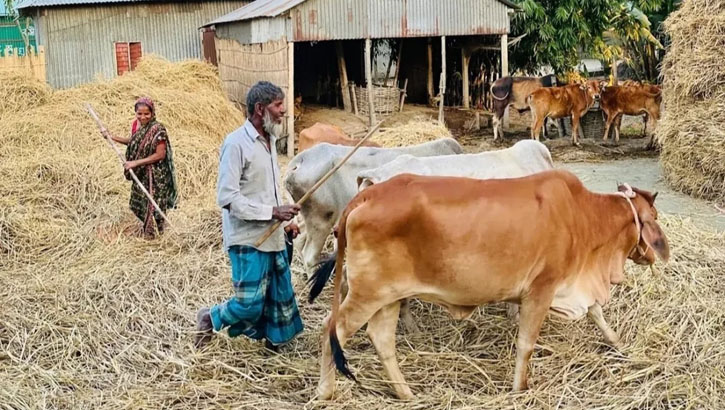 আধুনিকতার ছোঁয়ায় হারিয়ে যাচ্ছে নবান্ন উৎসব